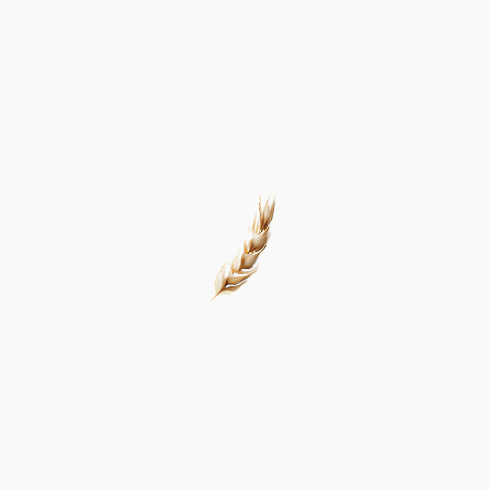 Wheat Mono Earring Wheat Mono Earring